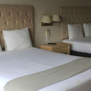 Standard Double Room Two Double Beds